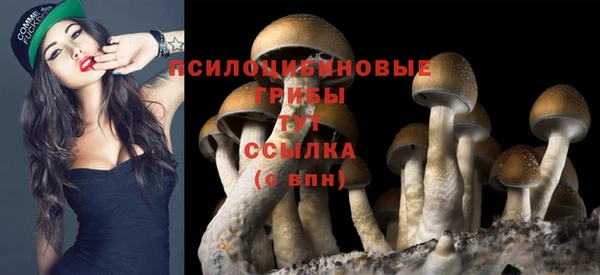 первитин Краснослободск