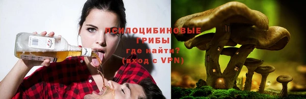mdpv Красноперекопск