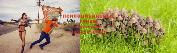 mdpv Красноперекопск