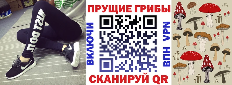 ссылка на мегу ссылка  Отрадное  Псилоцибиновые грибы Psilocybe 