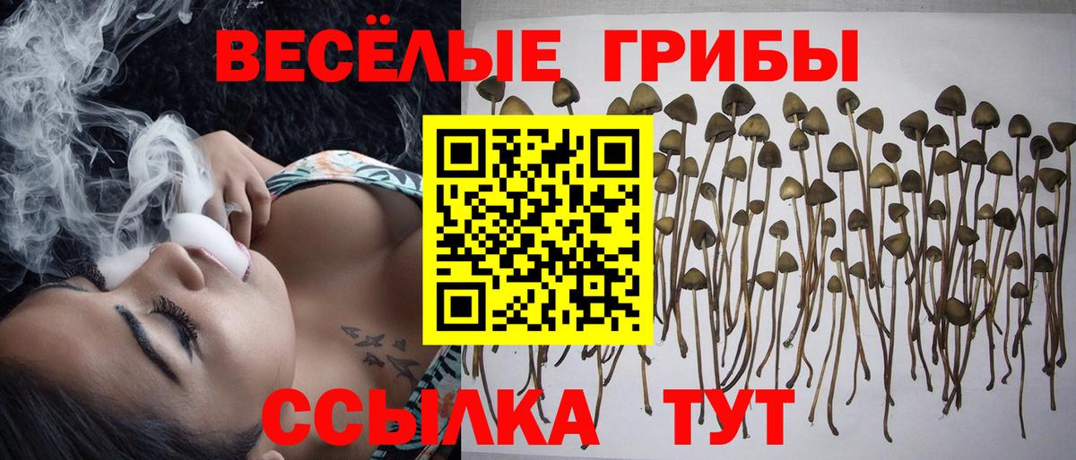 Галлюциногенные грибы прущие грибы Отрадное