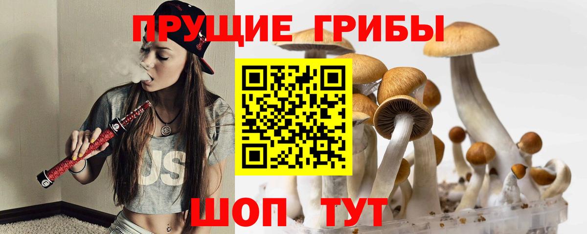 Псилоцибиновые грибы ЛСД  Вход с VPN  Отрадное 