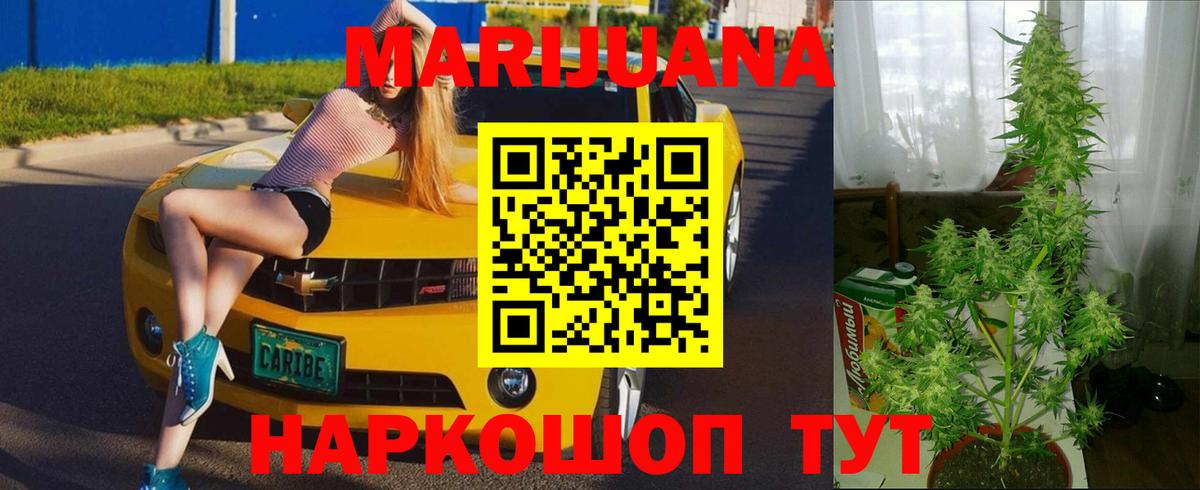 Конопля план  Вход с VPN  Отрадное  Шишки марихуана Ganja 