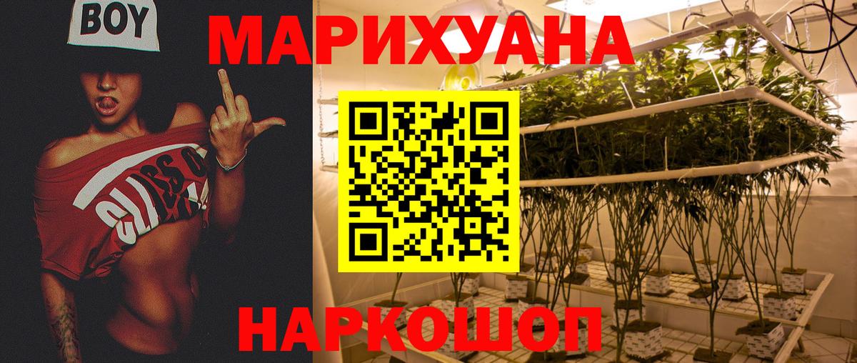 Канабис AK-47 Отрадное